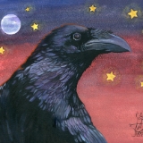 Raven Steals the Moon (Moon what Moon?)